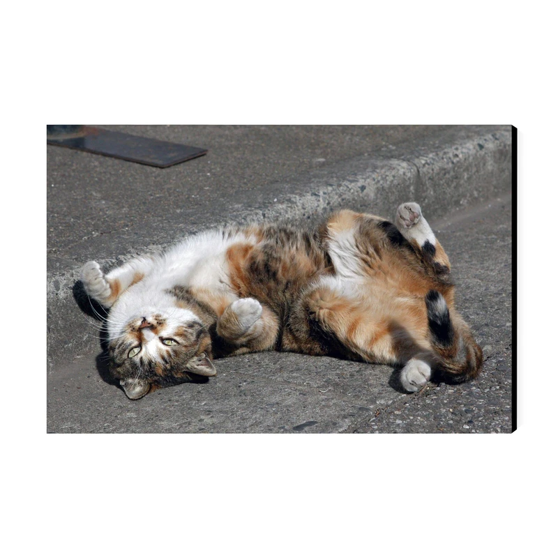 تابلو شاسی عرش مدل فانتزی گربه کد As4782