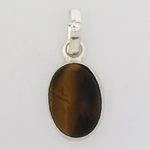 آویز گردنبند نقره زنانه سلین کالا مدل چشم ببر ce-As169