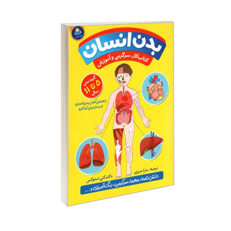 کتاب کتاب کار، سرگرمی و آموزش بدن انسان اثر دکتر کتی استوکس ترجمه سارا عزیزی انتشارات کودک یار