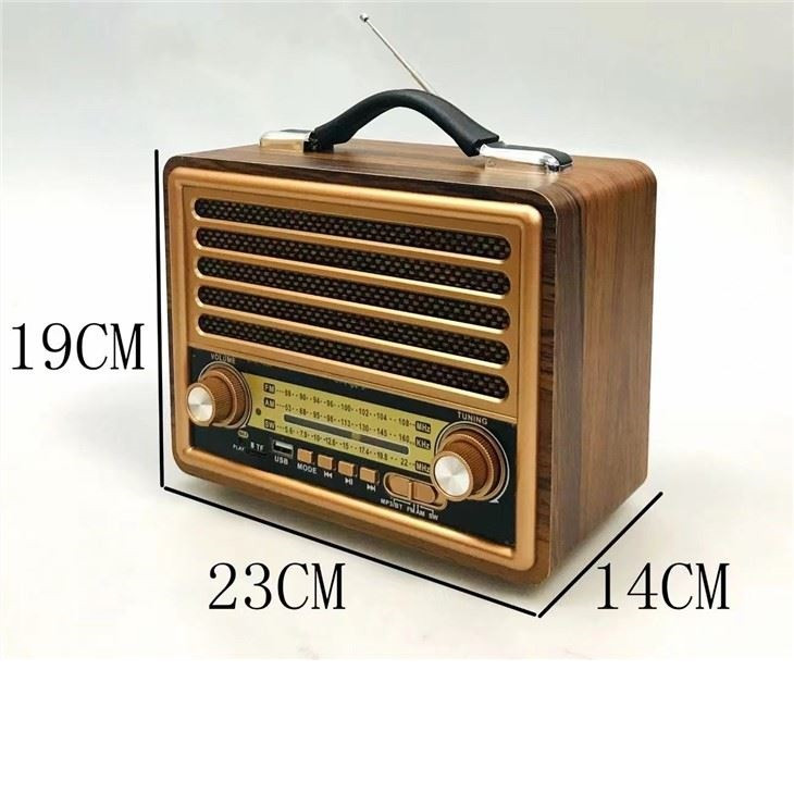 رادیو ری زنک مدل 2077BT