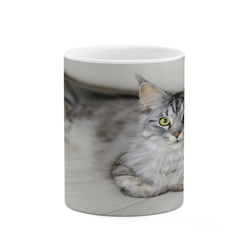 ماگ کاکتی مدل گربه کد mgh17981