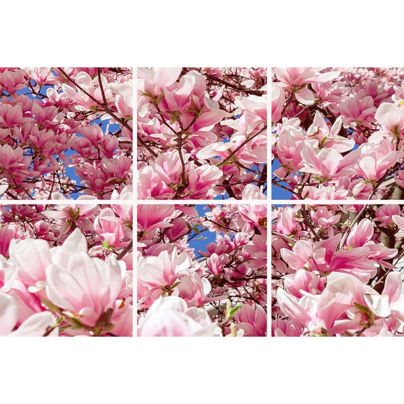 تایل سقفی آسمان مجازی مدل SK-427-2x3 سایز 60x60 مجموعه شش عددی