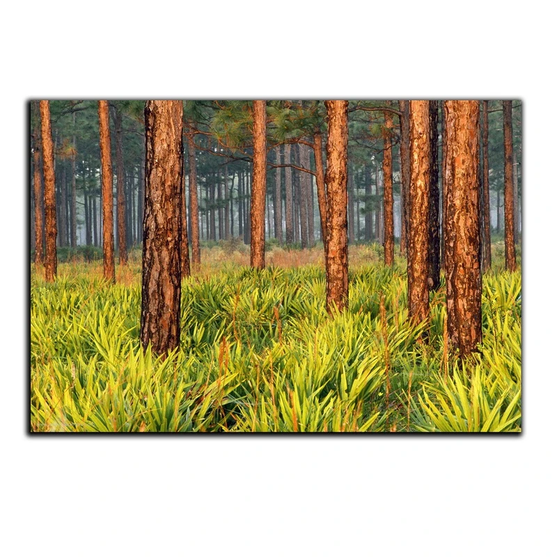 تابلو شاسی بکلیت طرح جنگل و چمنزار مدل SH-S998