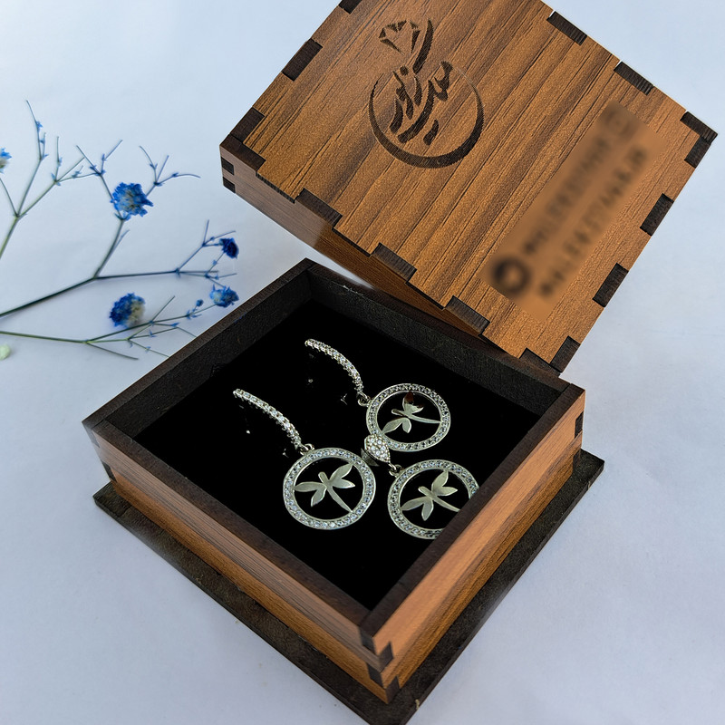 نیم ست نقره زنانه ملک زیور مدل سنجاقک دایره کد 621 نیم ست نقره زنانه ملک زیور مدل سنجاقک دایره کد 621