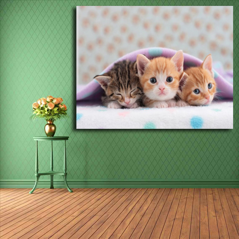 تابلو شاسی مدل گربه کد 30