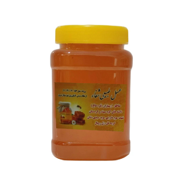 عسل طبیعی گون - 500 گرم