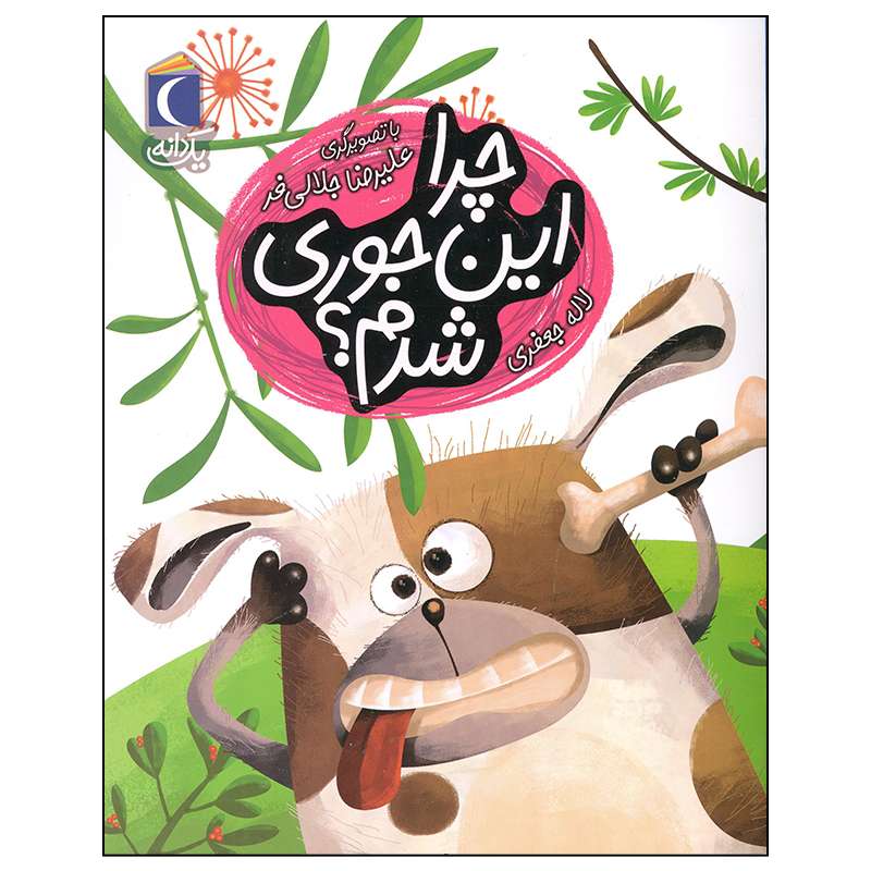 کتاب چرا این جوری شدم اثر لاله جعفری نشر محراب قلم