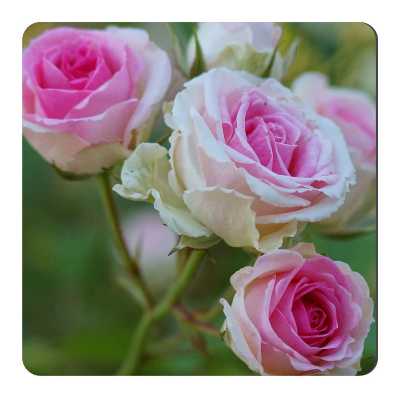  مگنت طرح گل کد NIM1664 