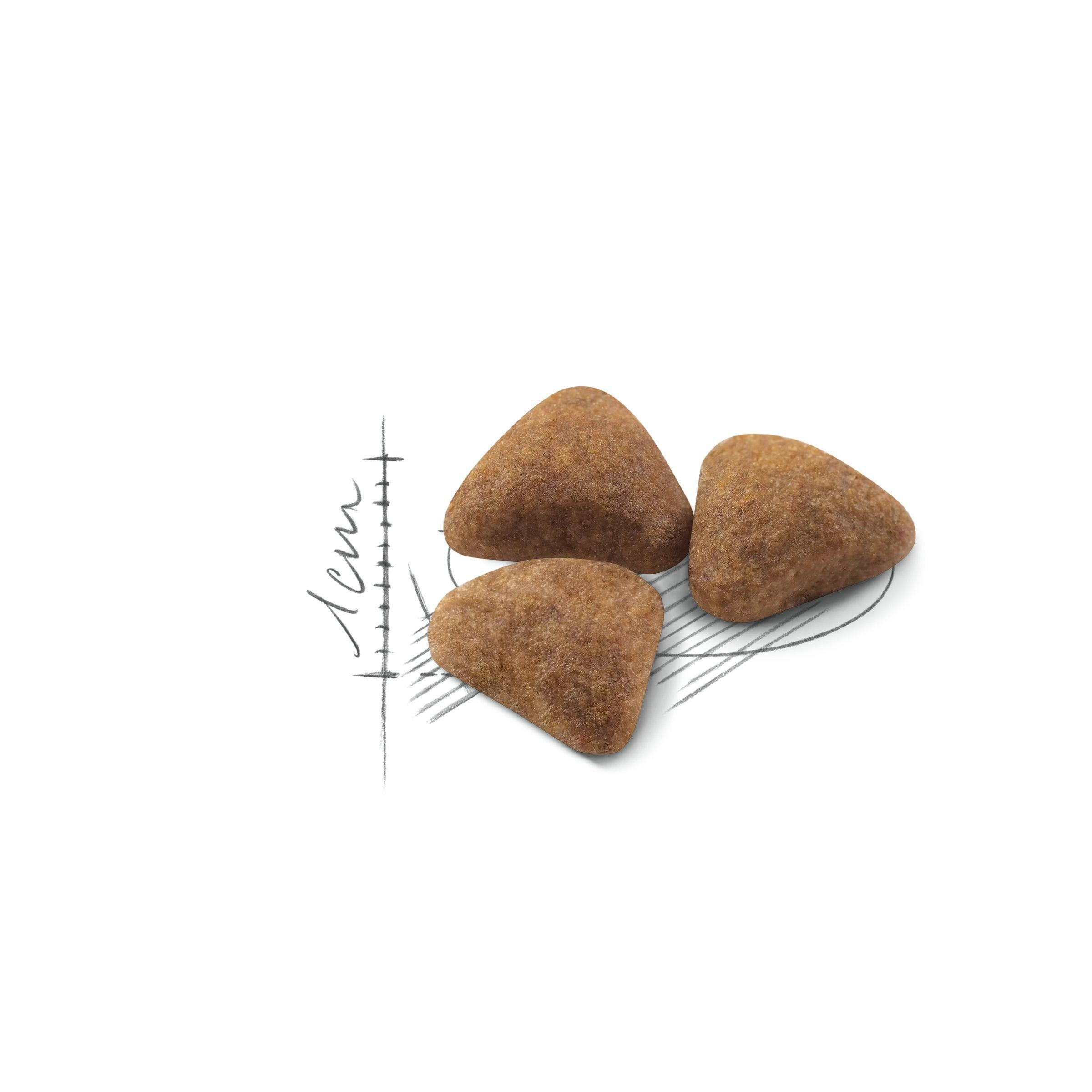 پوچ گربه رویال کنین مدل سنسوری اسمل وزن 85 گرم بسته 12 عددی