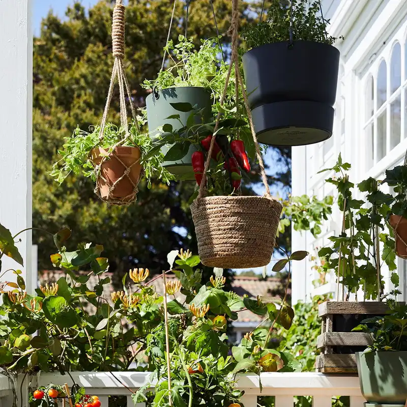 اویز گلدان مدل دهکده سبز