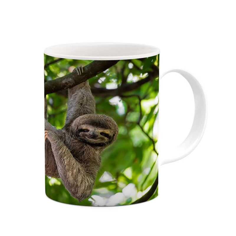 ماگ کاکتی مدل تنبل کد mgh15343