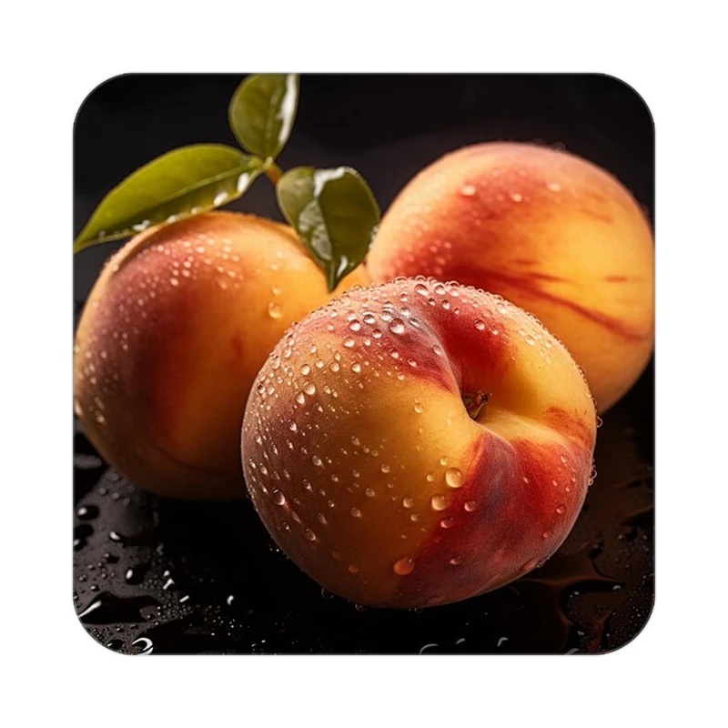 زیر لیوانی کاکتی طرح میوه مدل mp21724