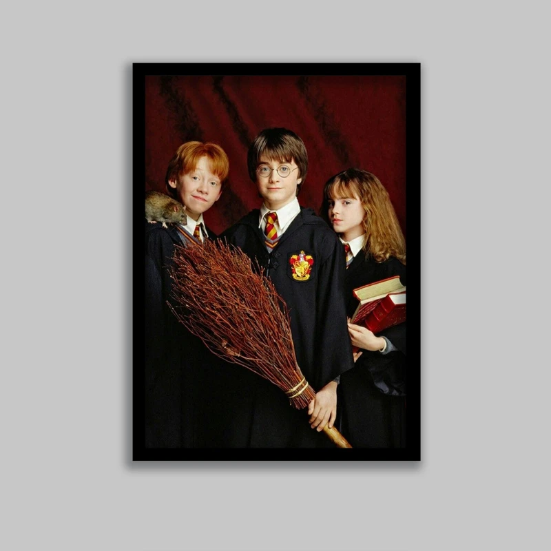 تابلو مدل هری پاتر Harry Potter کد LA-G10594-2