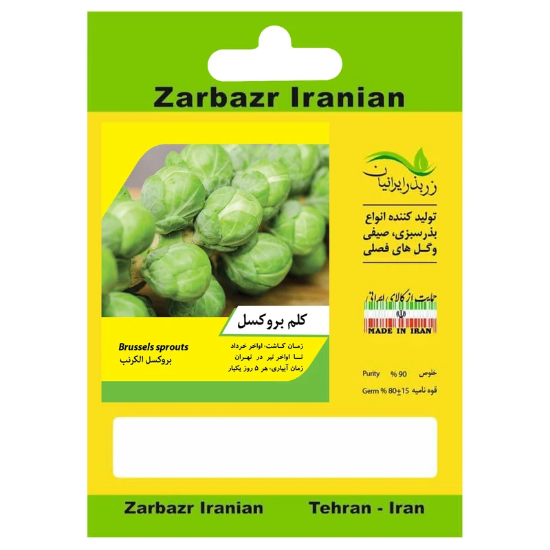 بذر کلم بروکسل زربذر ایرانیان کد ZBP-143