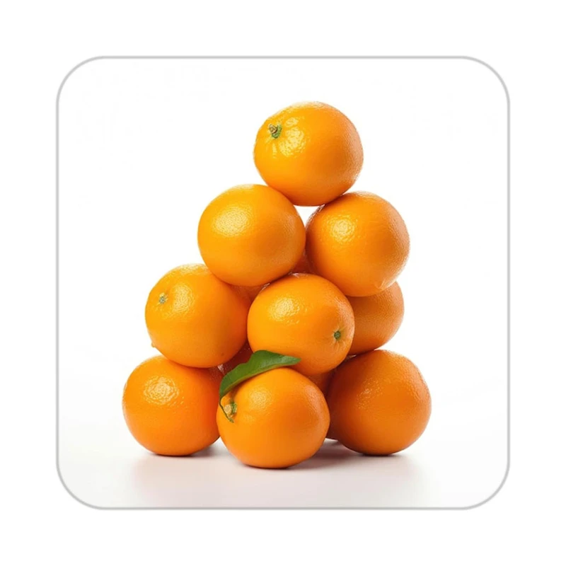 زیر لیوانی کاکتی طرح میوه مدل mp21776