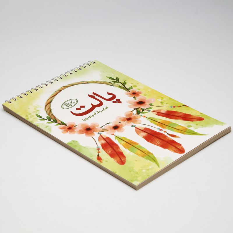 کتاب پالت رنگ آمیزی رویا اثر نیلوفر عباسیان انتشارات سیبان