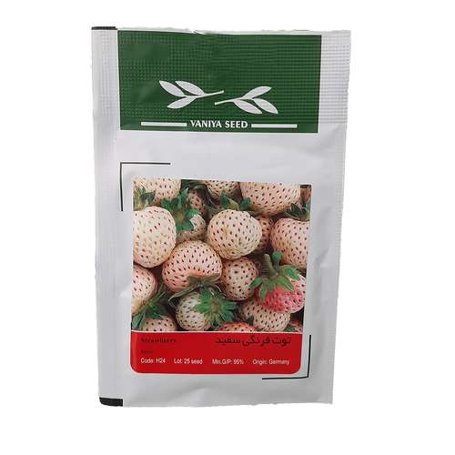 بذر توت فرنگی سفید وانیا سید مدل H24