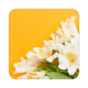 زیر لیوانی کاکتی طرح گل مدل mp17410