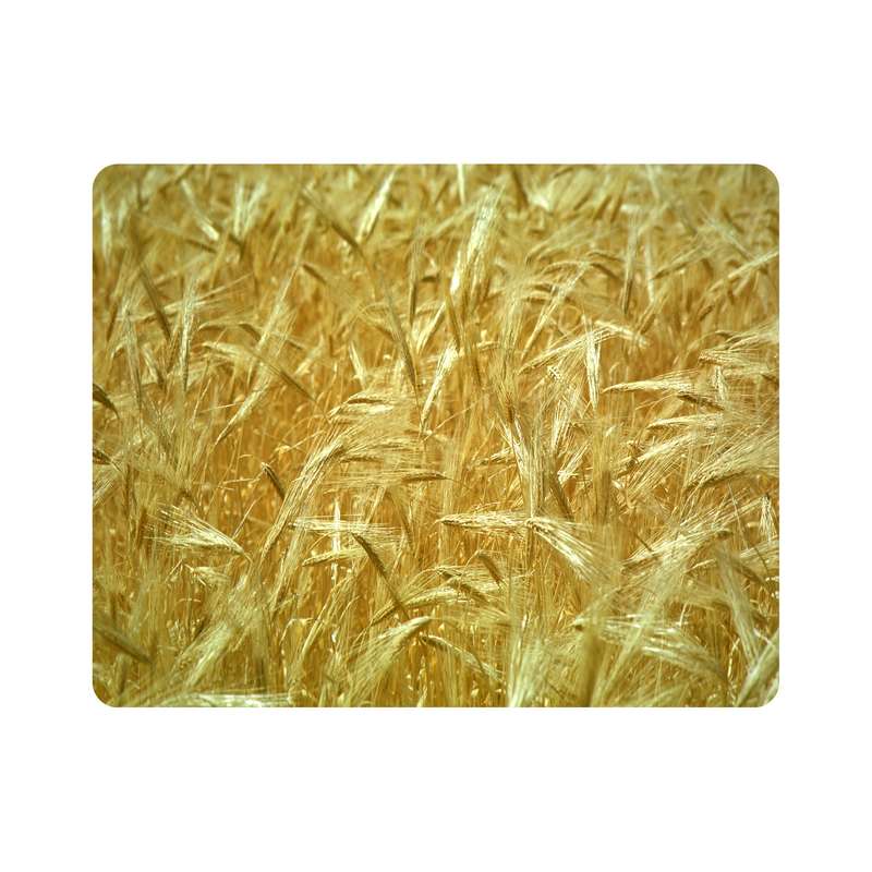 ماوس پد اطلس آبی طرح شاخه گندم  مدل T7333