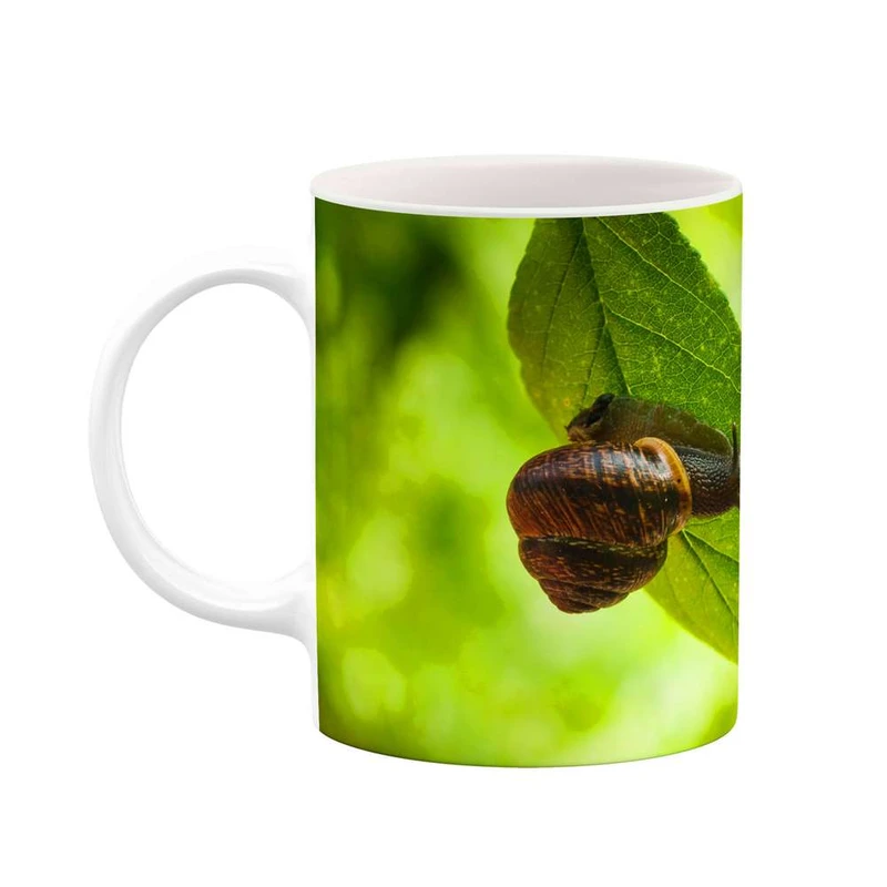 ماگ کاکتی مدل حلزون کد mgh11173