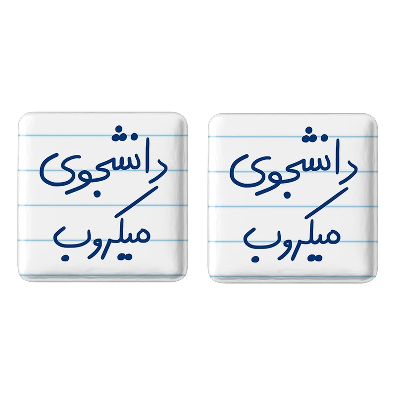 مگنت خندالو مدل دانشجوی میکروب کد 5835 مجموعه 2 عددی