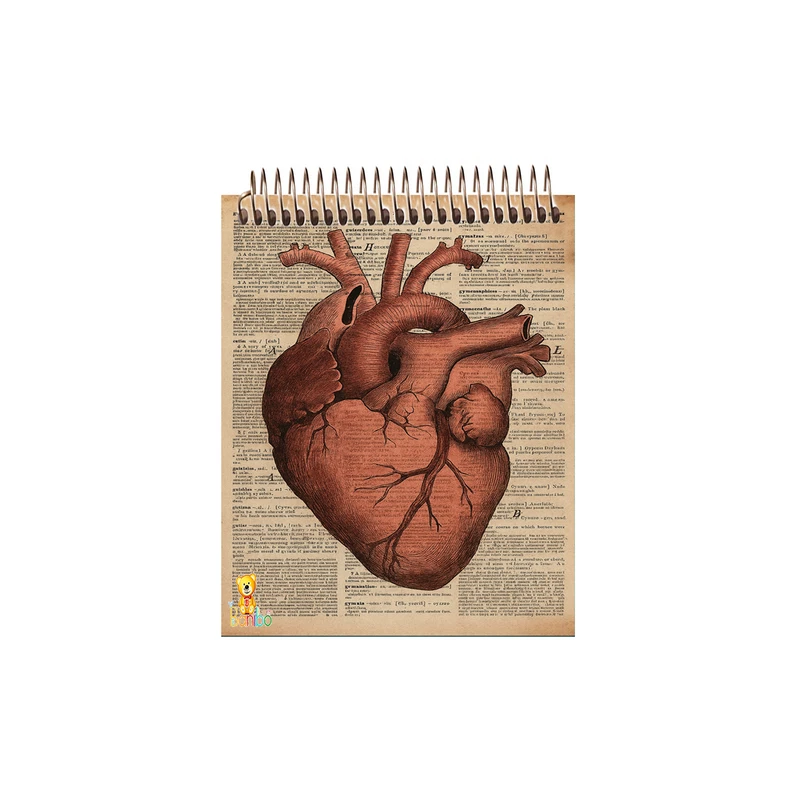 دفترچه نقاشی 50 برگ بانیبو مدل قلب کد 2733