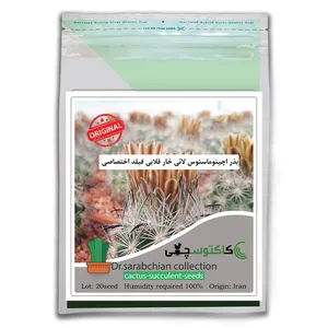 بذر اچینوماستوس لائی خار قلابی فیلد اختصاصی کاکتوسچی مدل AM-049