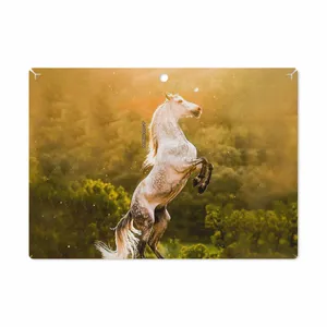 MAHOOT Horse-2 Cover Sticker for Lenovo Miix 320 2017