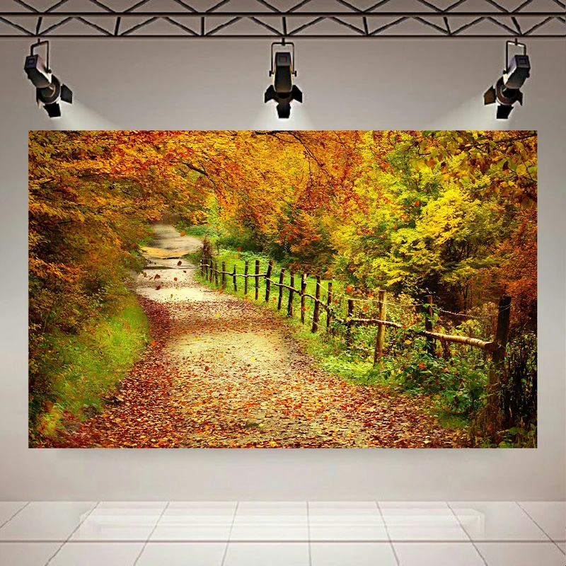 پوستر بک لایت طرح جنگل مدل جاده پاییزی کد AR304697