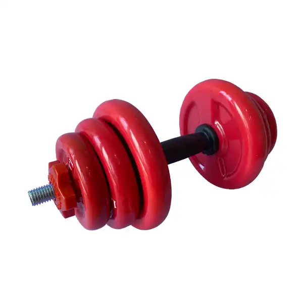 دمبل رکورد مدل متغیر وزن 10 کیلوگرم بسته دو عددی