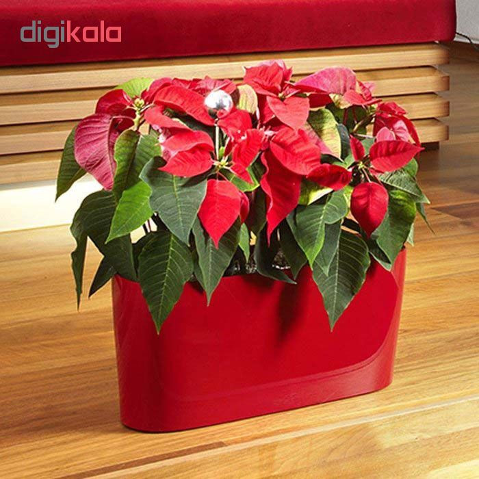 گلدان خودآبیار مدل CS2 گلدان خودآبیار مدل CS2