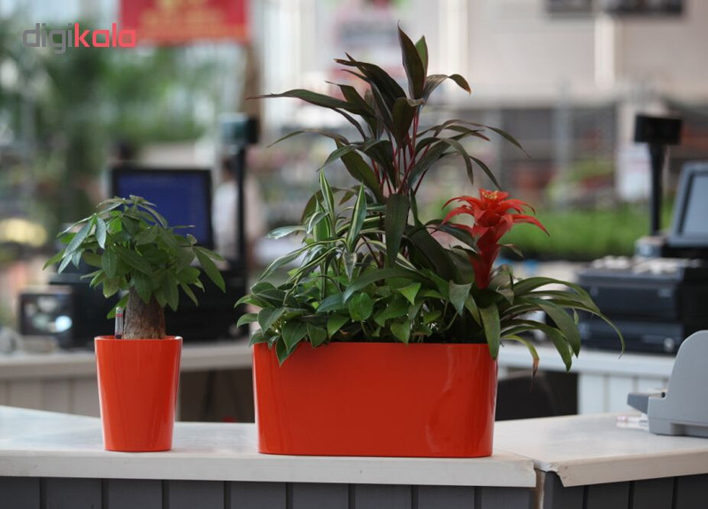 گلدان خودآبیار مدل CS2 گلدان خودآبیار مدل CS2