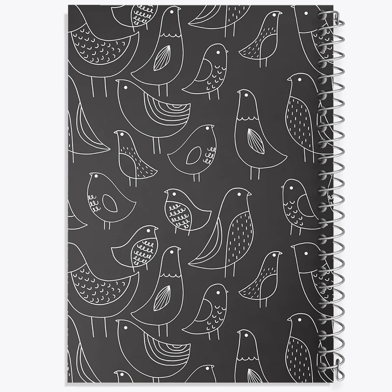 دفتر نقاشی 50 برگ خندالو طرح پرنده کد N716