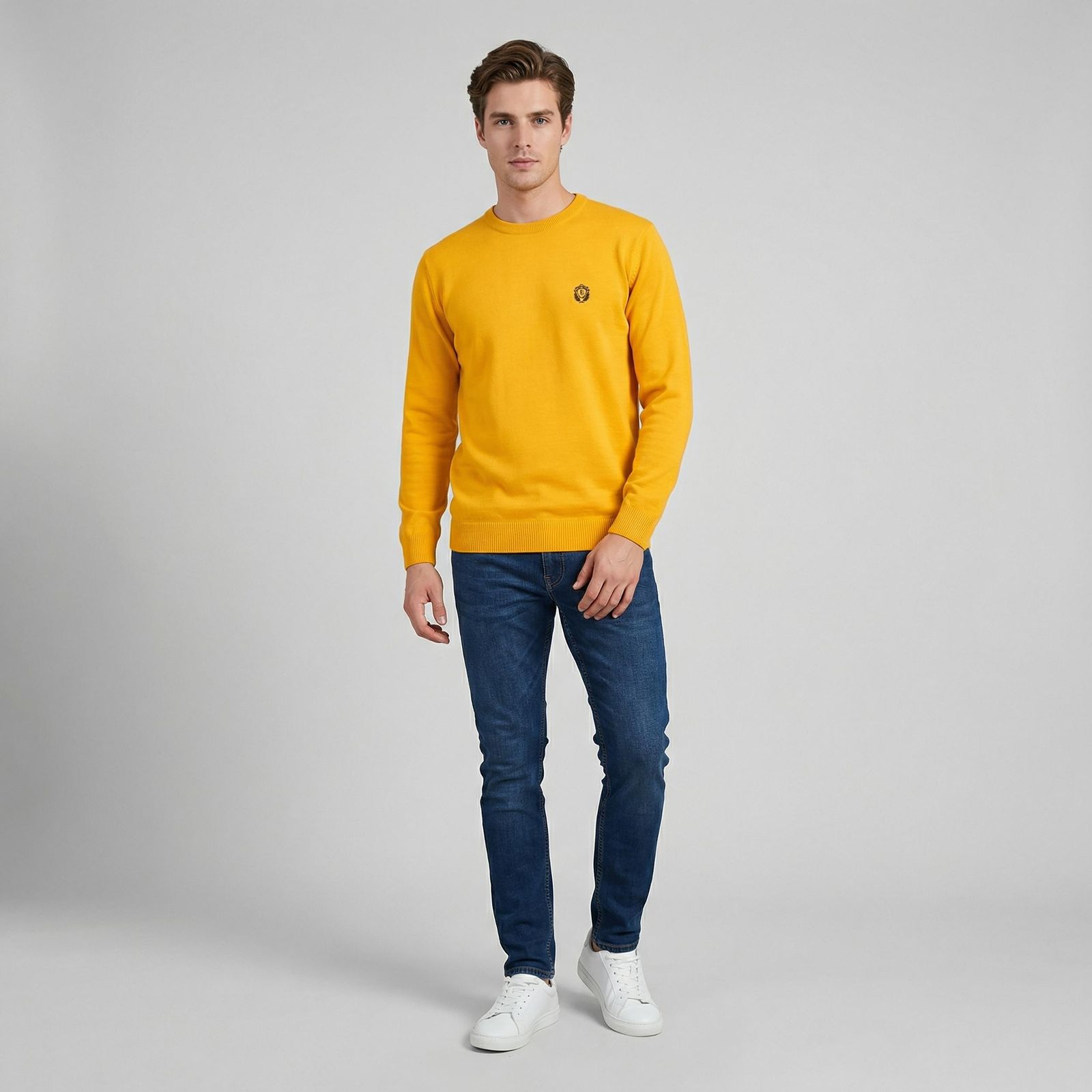 پلیور یقه گرد مردانه تریکو پاییزان مدل  PR700 -  - 19