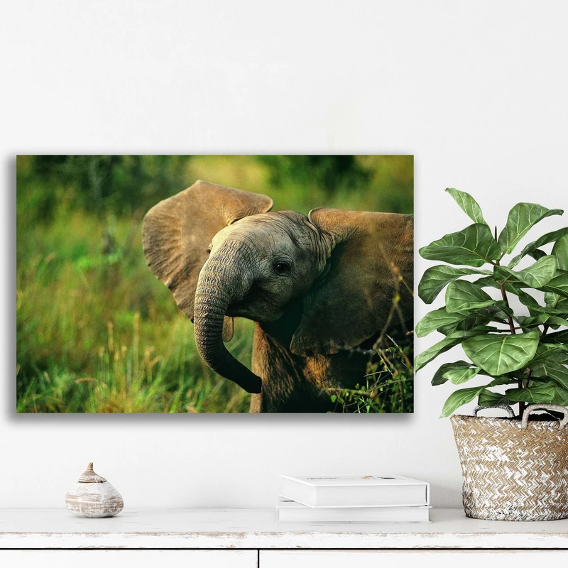 تابلو شاسی آتریسا مدل  حیوانات animal