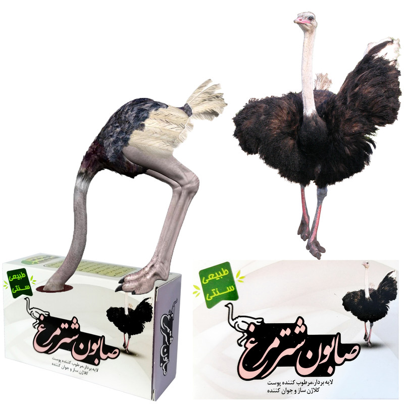 صابون شستشو ارمغان سلامت مدل شترمرغ وزن 85 گرم