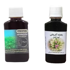 کود مایع جلبک دریایی و بنفشه آفریقایی مدل raw material حجم 120 میلی لیتر بسته 2 عددی