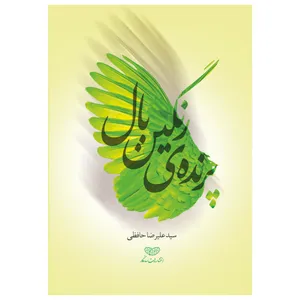 کتاب پرنده‌ی رنگین بال اثر سید علیرضا حافظی انتشارات ساز و کار