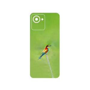 MAHOOT European bee-eater Cover Sticker for Realme C30s