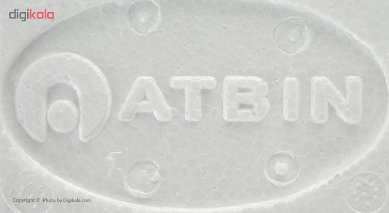 کانتر شمارنده آتبین مدل AC-DCH