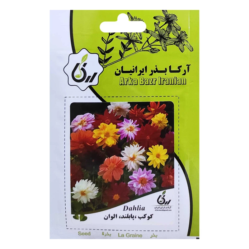 	 بذر کوکب پابلند الوان آرکا بذر ایرانیان کد ARK-047