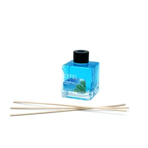  بوگیر و خوشبو کننده هوا ایفل مدل OKyanus Ocean حجم 120 میلی لیتر  