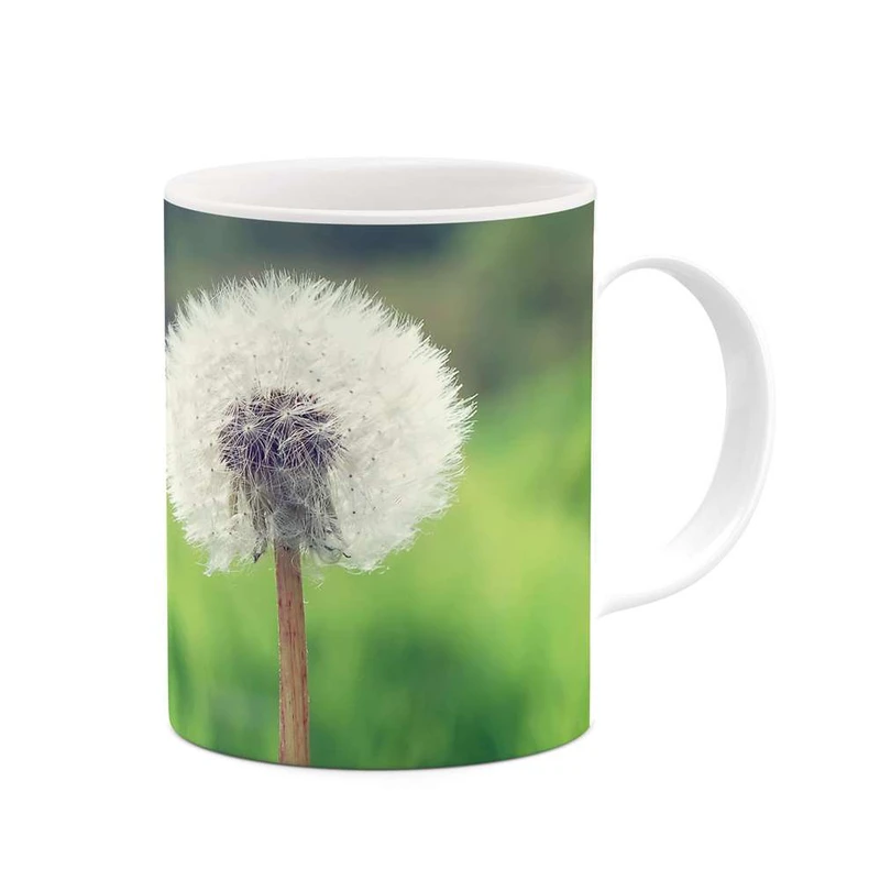 ماگ کاکتی مدل قاصدک کد mgh12056