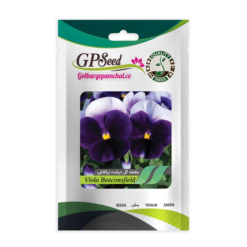 بذر گل بنفشه گلدرشت پرکلاغی گلبرگ پامچال کد GPF-284