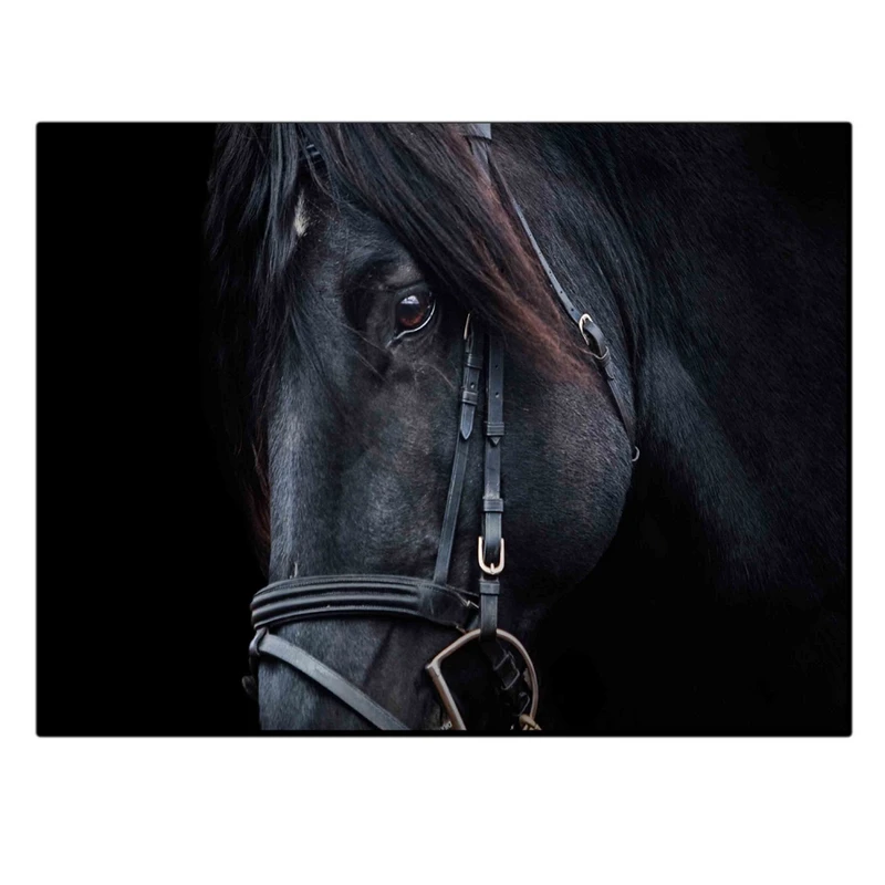 تابلو شاسی بکلیت طرح منظره اسب سیاه مدل SH-11816