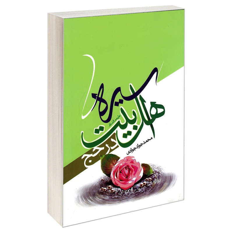 کتاب سیره اهل بیت (ع) در حج اثر محمدجواد جوادی نشر مشعر