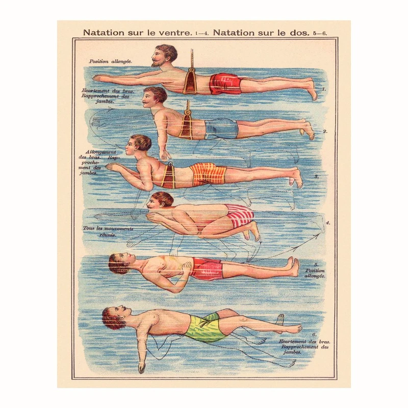 پوستر مدل وینتیج شناگر -سبک‌های شنا 