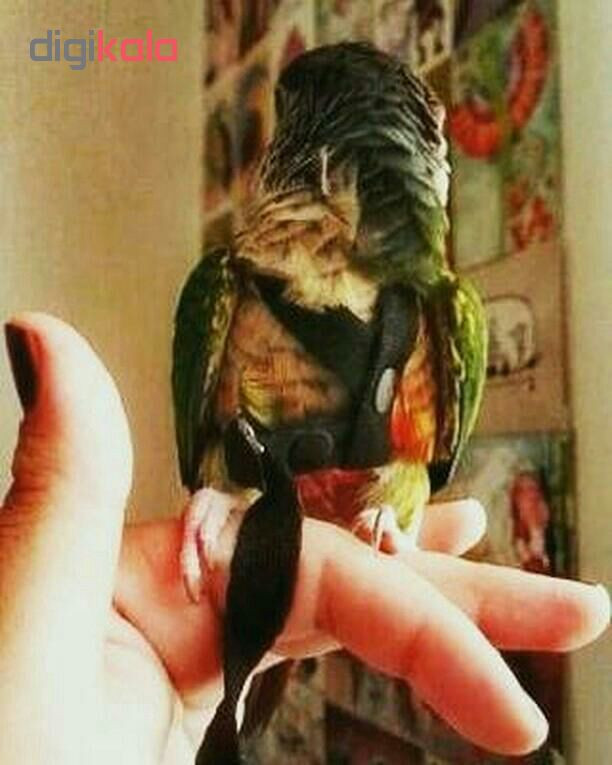 جلیقه پرواز harness مخصوص عروس و گرینچیک و فیشر و مینا