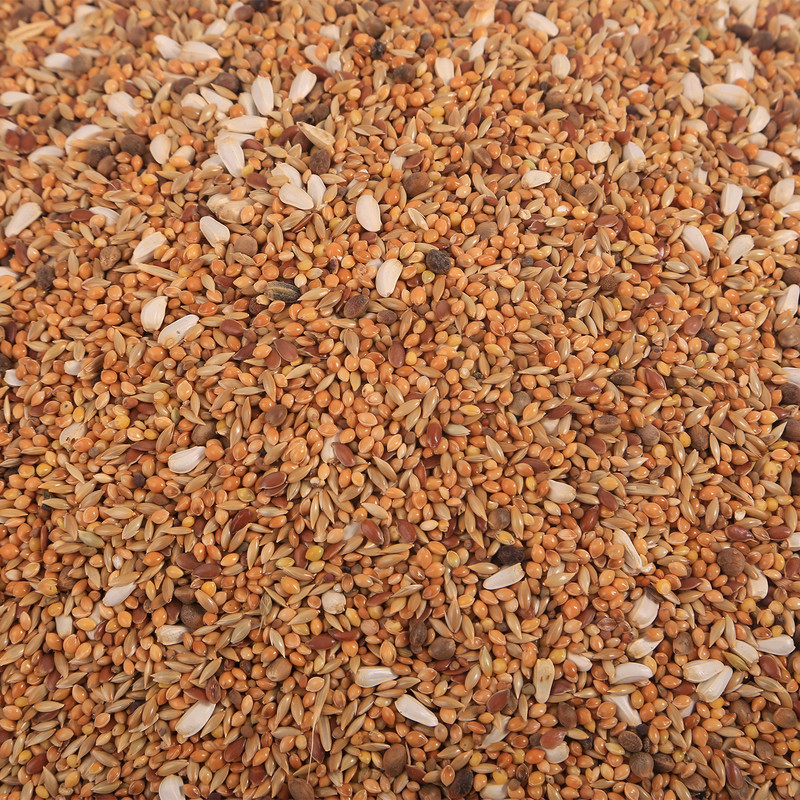 غذای عروس هلندی وطوطی سانان مدل014 وزن 500گرم