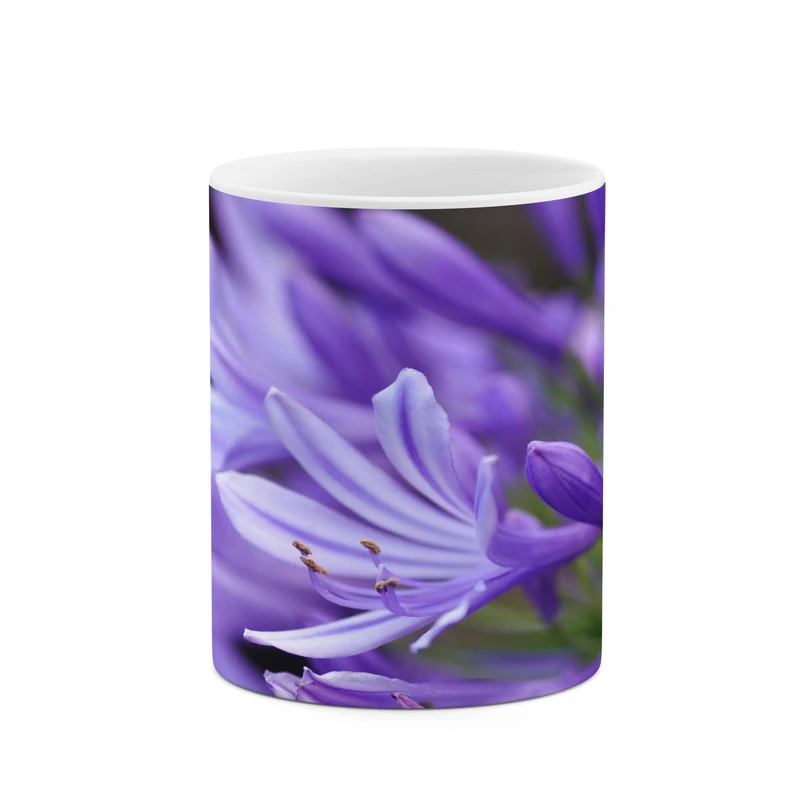 ماگ کاکتی مدل گل کد mgh17675